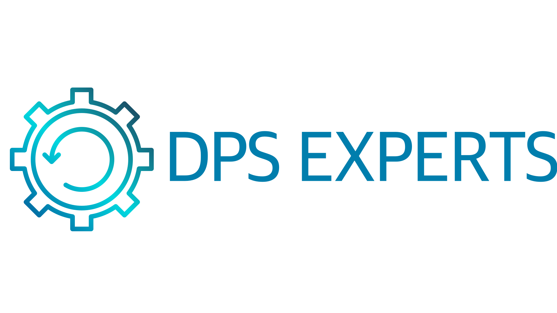 DPS Experts Logo